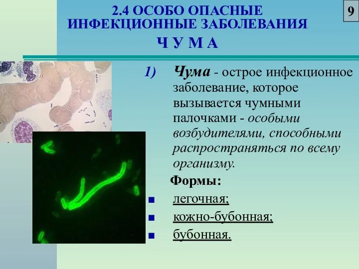 2.4 ОСОБО ОПАСНЫЕ ИНФЕКЦИОННЫЕ ЗАБОЛЕВАНИЯ Ч У М А Чума -