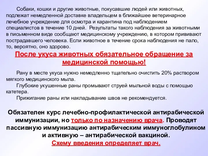 Собаки, кошки и другие животные, покусавшие людей или животных, подлежат немедленной