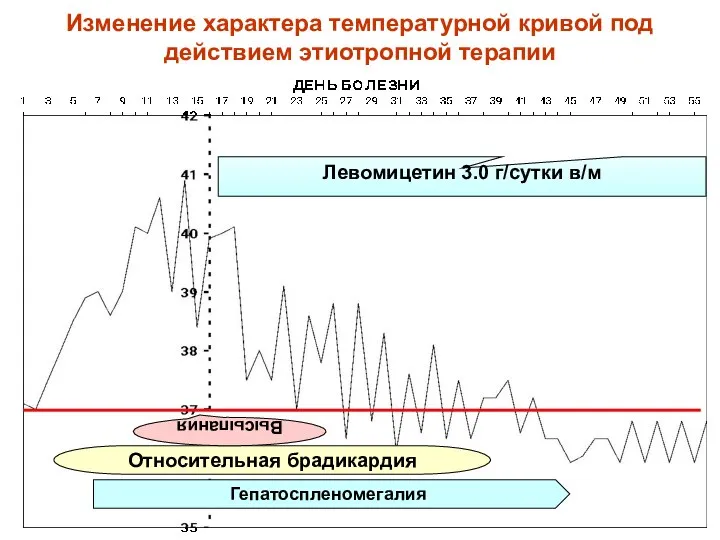 Изменение характера температурной кривой под действием этиотропной терапии Левомицетин 3.0 г/сутки в/м Гепатоспленомегалия Относительная брадикардия Высыпания