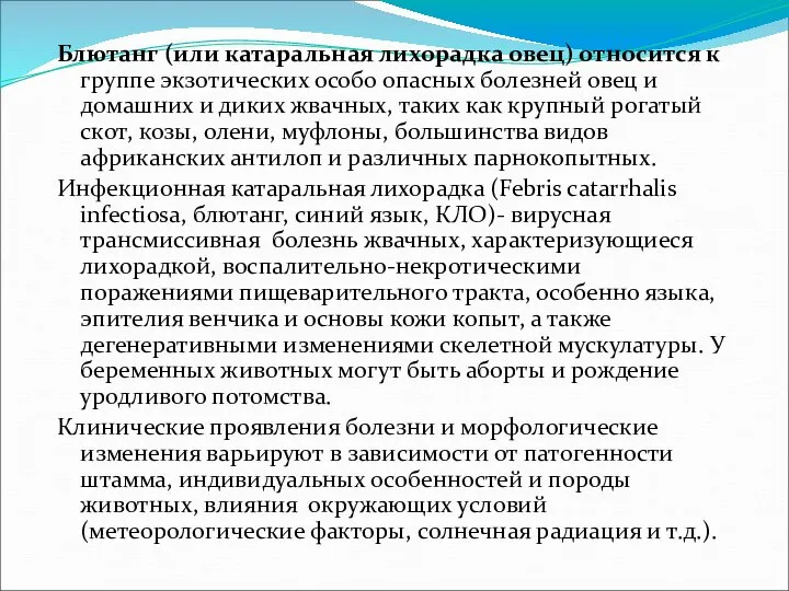 Блютанг (или катаральная лихорадка овец) относится к группе экзотических особо опасных