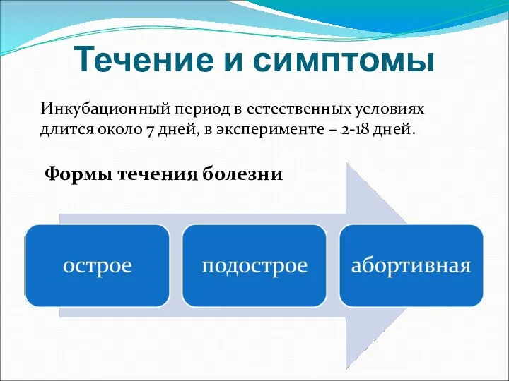 Течение и симптомы Инкубационный период в естественных условиях длится около 7