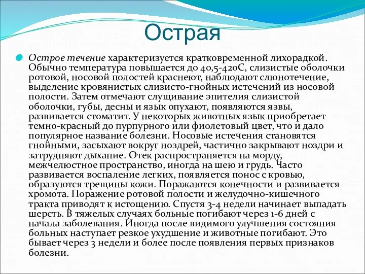 Острая Острое течение характеризуется кратковременной лихорадкой. Обычно температура повышается до 40,5-42оС,