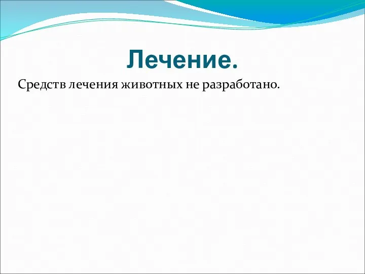 Лечение. Средств лечения животных не разработано.