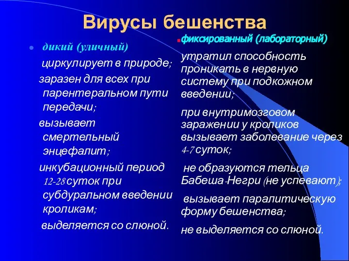 Вирусы бешенства дикий (уличный) циркулирует в природе; заразен для всех при