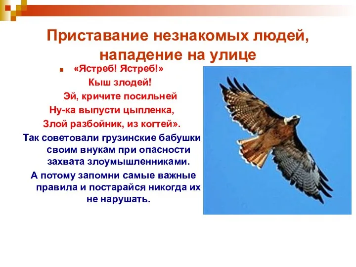 Приставание незнакомых людей, нападение на улице «Ястреб! Ястреб!» Кыш злодей! Эй,