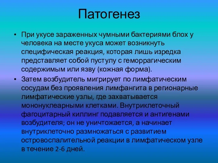 Патогенез При укусе зараженных чумными бактериями блох у человека на месте