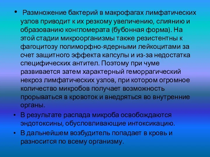 Размножение бактерий в макрофагах лимфатических узлов приводит к их резкому увеличению,