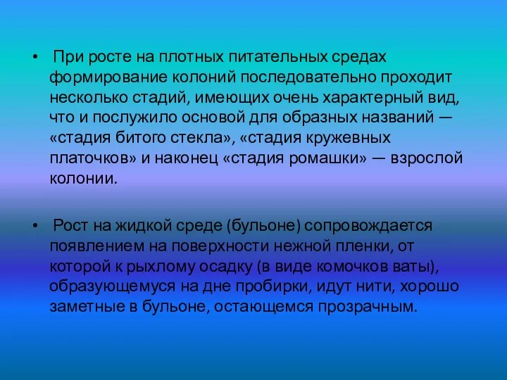 При росте на плотных питательных средах формирование колоний последовательно проходит несколько