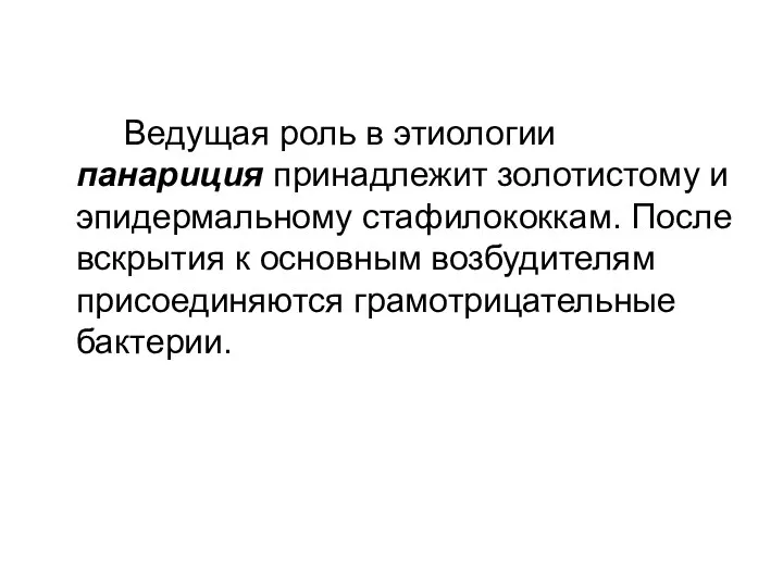 Ведущая роль в этиологии панариция принадлежит золотистому и эпидермальному стафилококкам. После