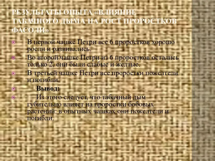 РЕЗУЛЬТАТЫ ОПЫТА «ВЛИЯНИЕ ТАБАЧНОГО ДЫМА НА РОСТ ПРОРОСТКОВ ФАСОЛИ» В первой