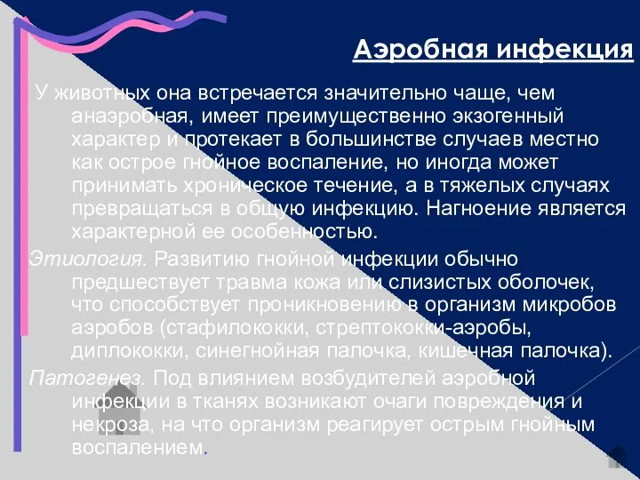 Аэробная инфекция У животных она встречается значительно чаще, чем анаэробная, имеет