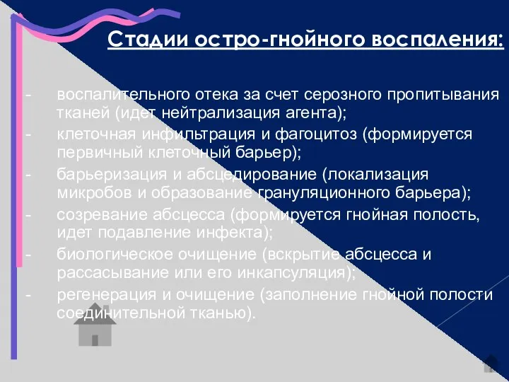 Стадии остро-гнойного воспаления: воспалительного отека за счет серозного пропитывания тканей (идет