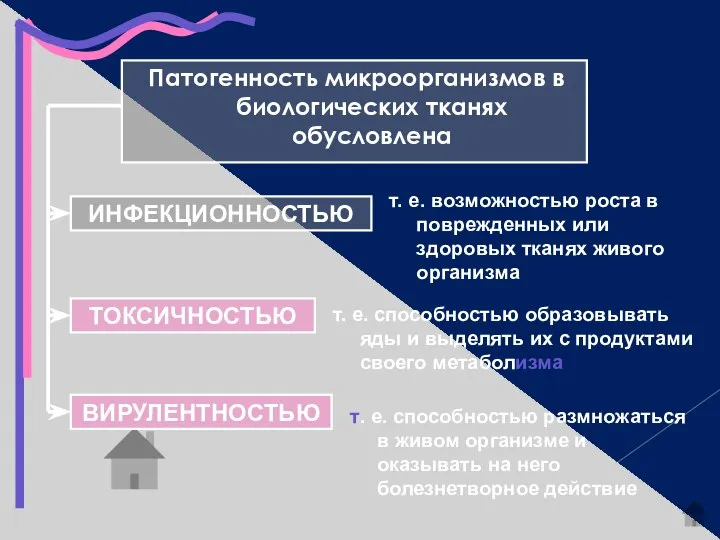 Патогенность микроорганизмов в биологических тканях обусловлена ИНФЕКЦИОННОСТЬЮ ТОКСИЧНОСТЬЮ ВИРУЛЕНТНОСТЬЮ т. е.