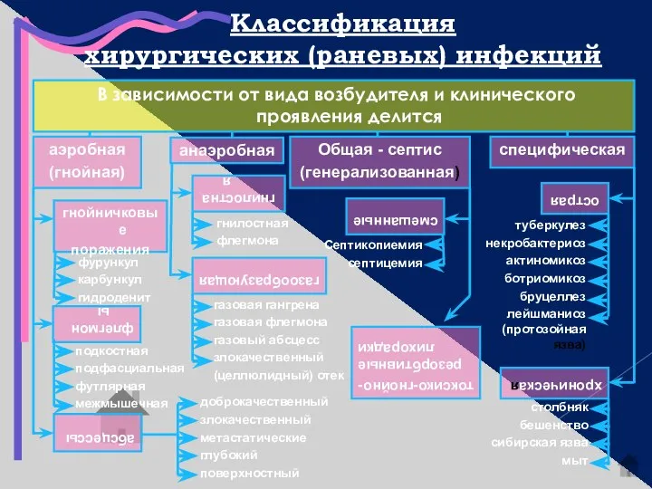 Классификация хирургических (раневых) инфекций В зависимости от вида возбудителя и клинического