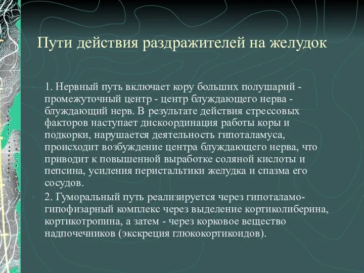 Пути действия раздражителей на желудок 1. Нервный путь включает кору больших