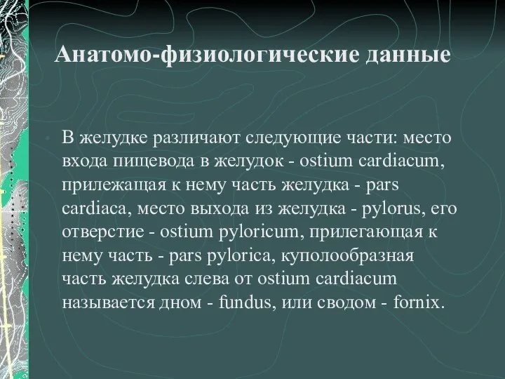 Анатомо-физиологические данные В желудке различают следующие части: место входа пищевода в