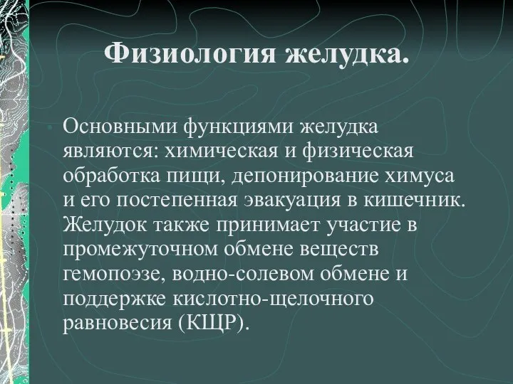 Физиология желудка. Основными функциями желудка являются: химическая и физическая обработка пищи,