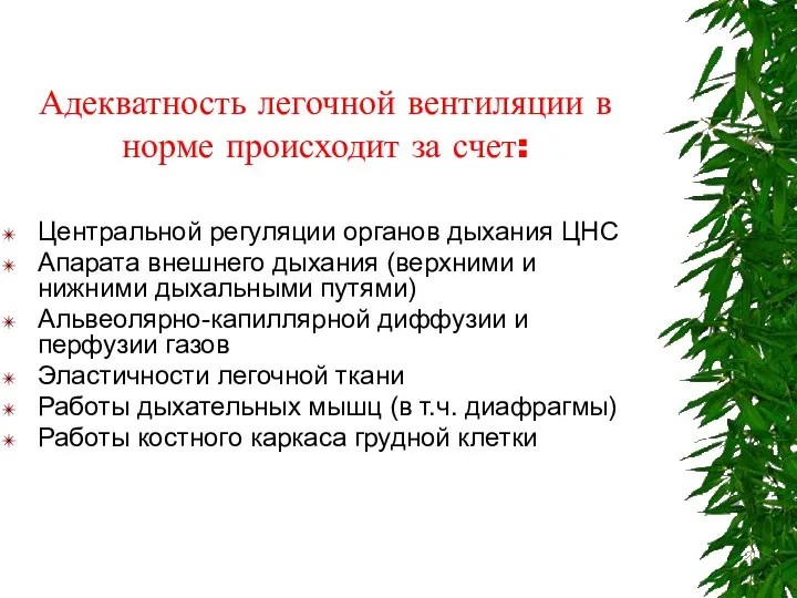 Адекватность легочной вентиляции в норме происходит за счет: Центральной регуляции органов