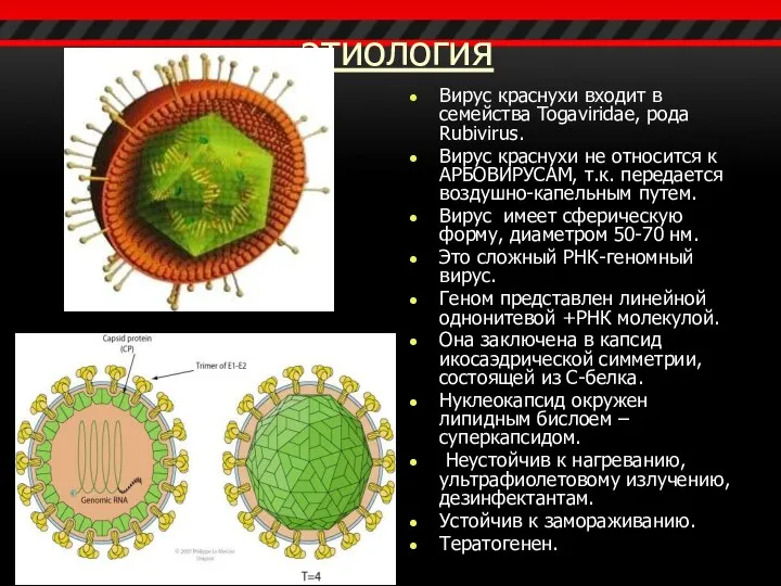 этиология Вирус краснухи входит в семейства Togaviridae, рода Rubivirus. Вирус краснухи