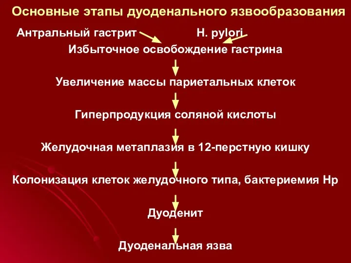 Основные этапы дуоденального язвообразования Антральный гастрит H. pylori Избыточное освобождение гастрина