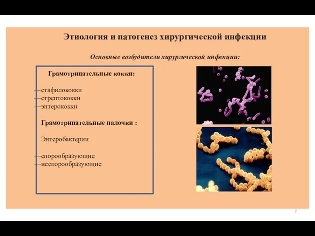 Этиология и патогенез хирургической инфекции Основные возбудители хирургической инфекции: Грамотрицательные кокки: