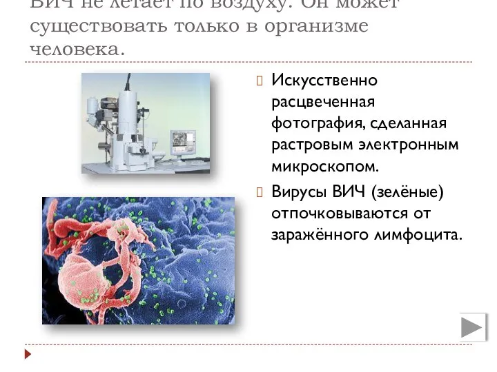 ВИЧ не летает по воздуху. Он может существовать только в организме