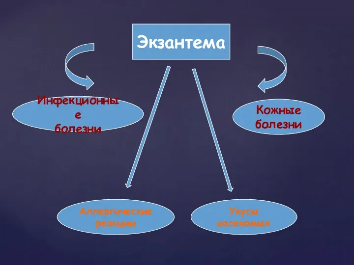 Экзантема Инфекционные болезни Укусы насекомых Кожные болезни Аллергические реакции