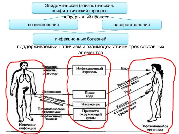 поддерживаемый наличием и взаимодействием трех составных элементов Эпидемический (эпизоотический, эпифитотический) процесс