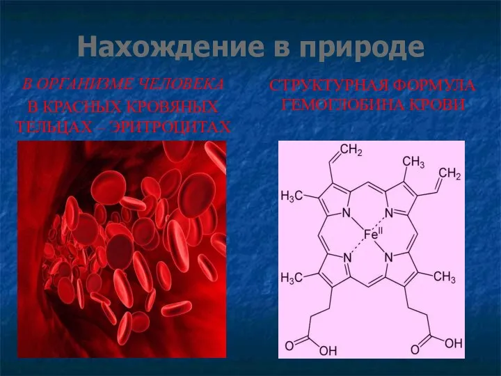 Нахождение в природе В ОРГАНИЗМЕ ЧЕЛОВЕКА В КРАСНЫХ КРОВЯНЫХ ТЕЛЬЦАХ – ЭРИТРОЦИТАХ СТРУКТУРНАЯ ФОРМУЛА ГЕМОГЛОБИНА КРОВИ