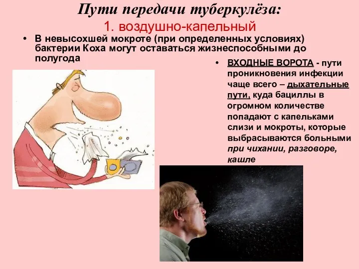 Пути передачи туберкулёза: 1. воздушно-капельный ВХОДНЫЕ ВОРОТА - пути проникновения инфекции