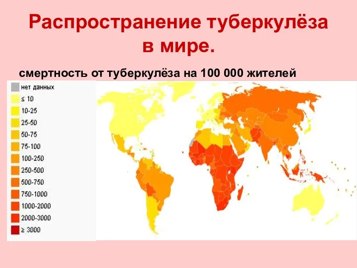 Распространение туберкулёза в мире. смертность от туберкулёза на 100 000 жителей