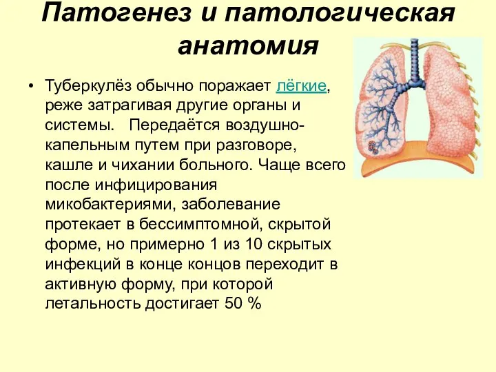Патогенез и патологическая анатомия Туберкулёз обычно поражает лёгкие, реже затрагивая другие