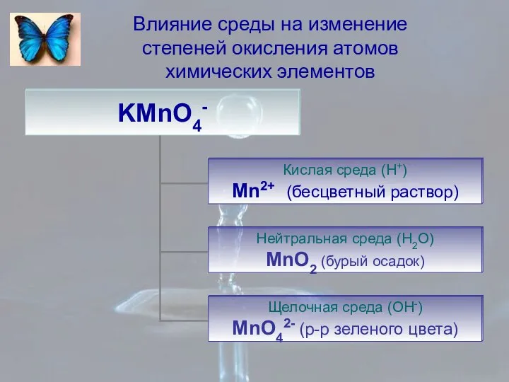 Влияние среды на изменение степеней окисления атомов химических элементов