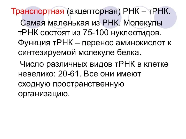 Транспортная (акцепторная) РНК – тРНК. Самая маленькая из РНК. Молекулы тРНК