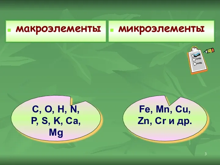 макроэлементы микроэлементы Fe, Mn, Cu, Zn, Cr и др. C, O,