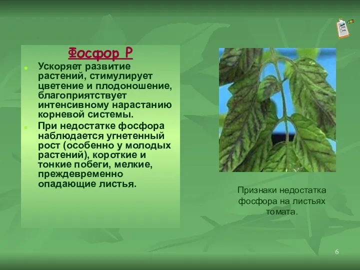 Фосфор Р Ускоряет развитие растений, стимулирует цветение и плодоношение, благоприятствует интенсивному