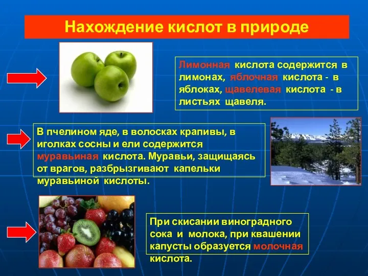 Нахождение кислот в природе Лимонная кислота содержится в лимонах, яблочная кислота