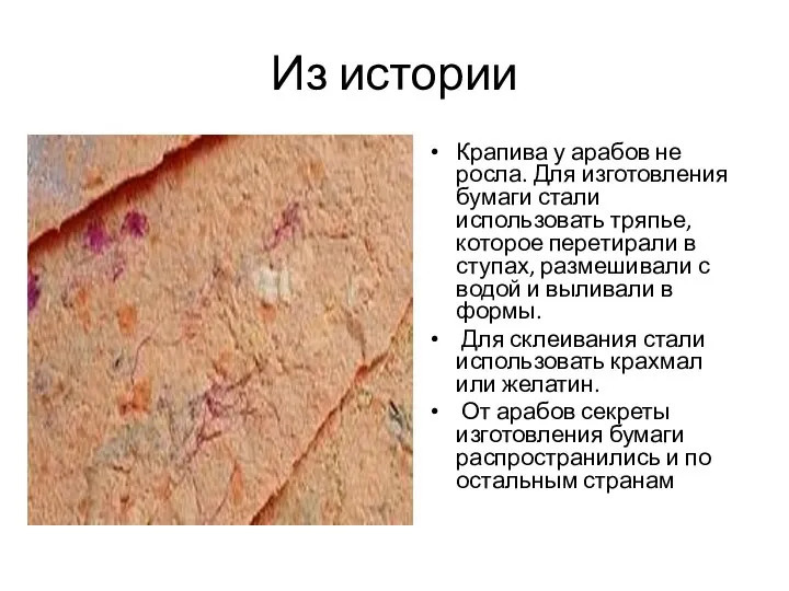 Из истории Крапива у арабов не росла. Для изготовления бумаги стали