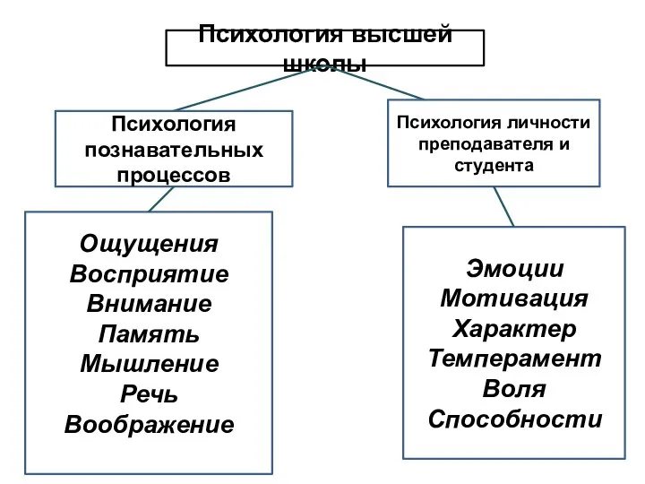 Психология высшей школы Психология познавательных процессов Психология личности преподавателя и студента