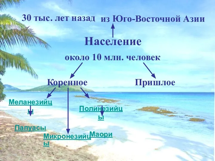 Население около 10 млн. человек Коренное Пришлое из Юго-Восточной Азии 30