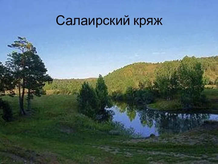 Салаирский кряж