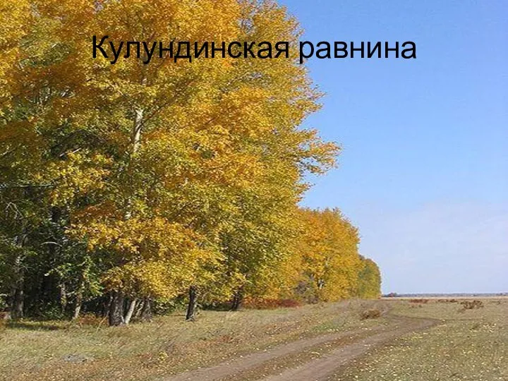 Кулундинская равнина