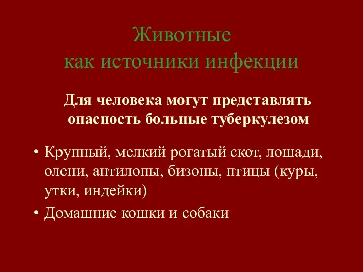 Животные как источники инфекции Для человека могут представлять опасность больные туберкулезом