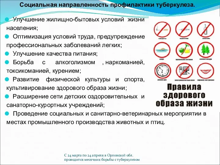 С 24 марта по 24 апреля в Орловской обл. проводится месячник