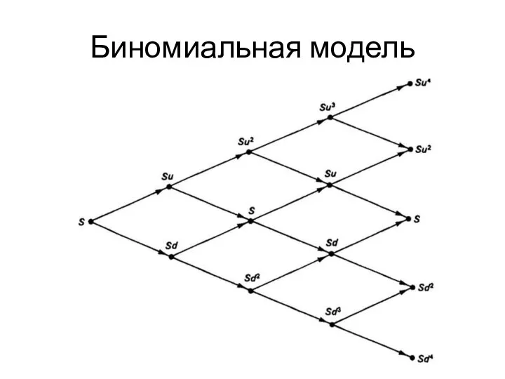 Биномиальная модель