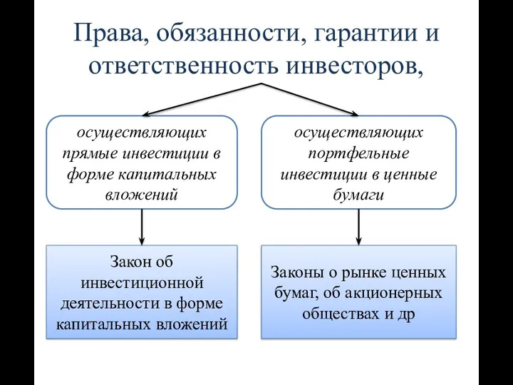 Права, обязанности, гарантии и ответственность инвесторов, осуществляющих прямые инвестиции в форме