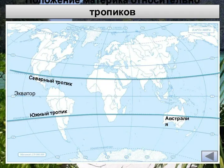 Северный тропик Южный тропик Положение материка относительно тропиков Австралия Экватор