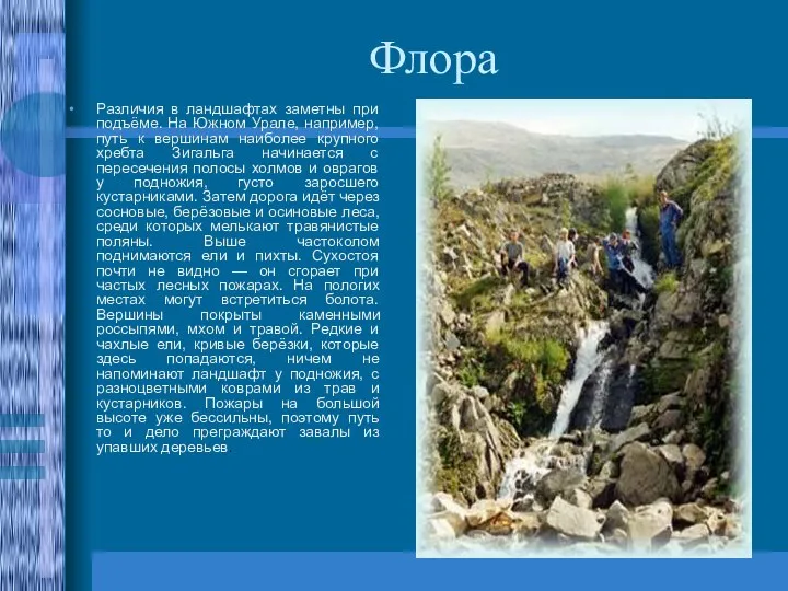 Флора Различия в ландшафтах заметны при подъёме. На Южном Урале, например,