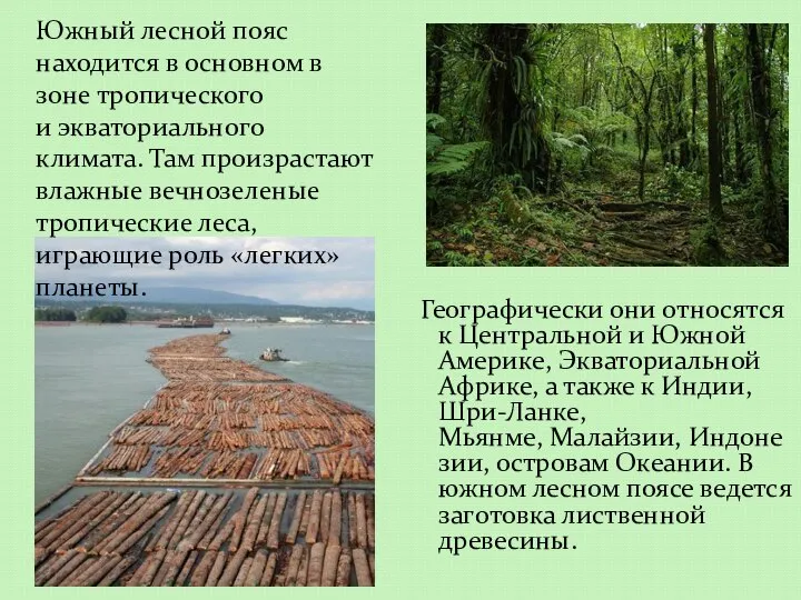 Географически они относятся к Центральной и Южной Америке, Экваториальной Африке, а