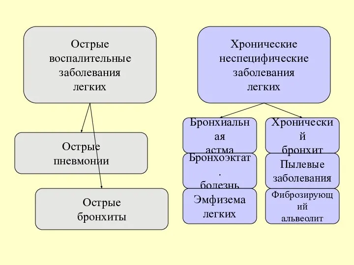 Хронические неспецифические заболевания легких Острые воспалительные заболевания легких Острые бронхиты Острые